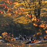 公園の人々－１２