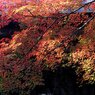 石山寺　秋Ⅱ