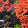 石山寺　秋Ⅴ