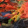 石山寺　秋Ⅵ