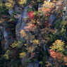 渓谷紅葉ナウ