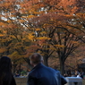 公園の人々－１４