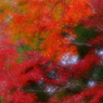 影から彩