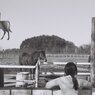 Dream of the girl