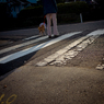 camucamu_20141130_160