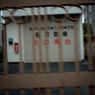 camucamu_20141201_164