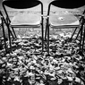 camucamu_20141202_167