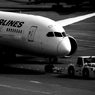 JAL B787