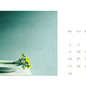 １１月