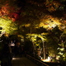 長谷寺の紅葉ライトアップ