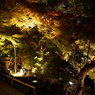 長谷寺の紅葉ライトアップ