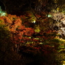 長谷寺の紅葉ライトアップ