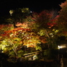 長谷寺の紅葉ライトアップ