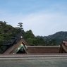 DSC05584