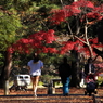 公園の人々－１５