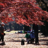公園の人々－１６