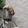 猫バス似の墜落