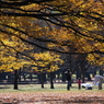 公園の人々－１７