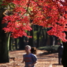 公園の人々－１８