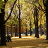 公園の人々－１９
