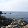 DSC05457