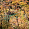 紅葉川ナウ