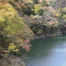 対岸ナウ