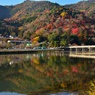 晴れた日の嵐山