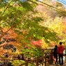 花貫渓谷 汐見滝吊り橋