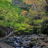 川床ナウ