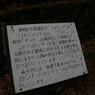 フィトンチッドナウ