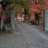 入口ナウ