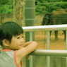 動物園にて