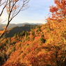 山の鮮やかさ