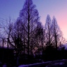 夕暮れ散歩
