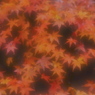しっとり