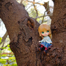木登りをしてみたよ