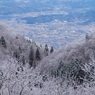 葛城山　樹氷