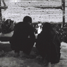 Melody of the small love