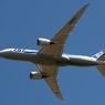 ANA 787-8 