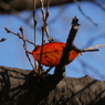 P1140135