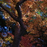 P1140111