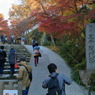 登り坂なう