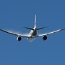 JAL 787-8