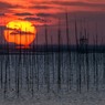 半だるま夕陽？　２