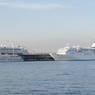 Royal Wing & Pacific Venus