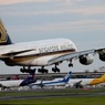 着陸(202-4)ｼﾝｶﾞﾎﾟｰﾙ・ｴｱ　Airbus A380-841　