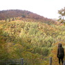 尾瀬の紅葉