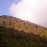 尾瀬の紅葉