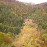 尾瀬の紅葉